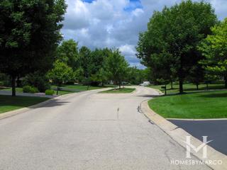 Beacon Hill subdivision in Kildeer, IL
