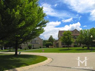 Beacon Hill subdivision in Kildeer, IL