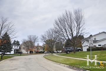 Woodland Meadows subdivision in Grayslake, IL