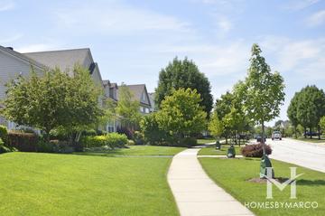 Augusta Green subdivision in the Gregg's Landing neighborhood of Vernon Hills, IL