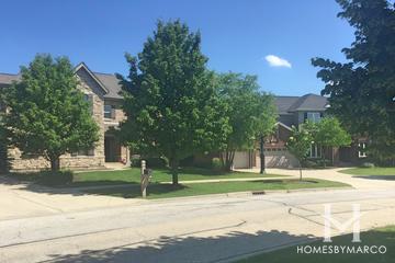 Beaver Creek subdivision in the Gregg's Landing neighborhood of Vernon Hills, IL