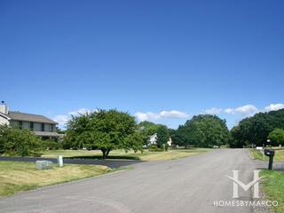 Beckett Crossing subdivision in Mundelein, IL