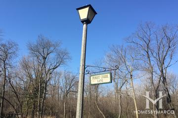 Forest Creek subdivision in Libertyville, IL