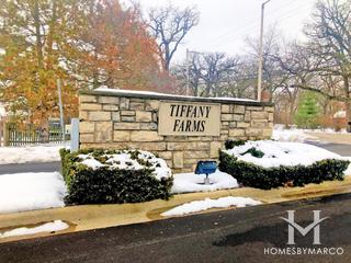 Tiffany Farms