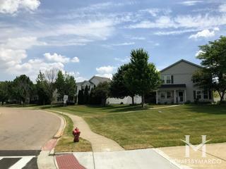 Ogden Falls subdivision in Oswego, IL