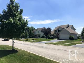Arbor Gate subdivision in Oswego, IL