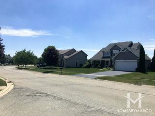 Arbor Gate subdivision in Oswego, IL