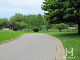 Reserve at the Merit Club subdivision in Libertyville, IL