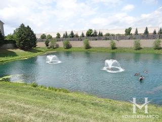 Sedgwick Place subdivision in Gurnee, IL