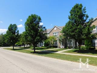 Natures Cove subdivision in Round Lake, IL