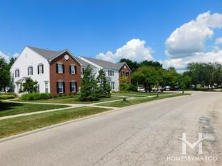 Natures Cove subdivision in Round Lake, IL