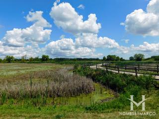 Natures Cove subdivision in Round Lake, IL