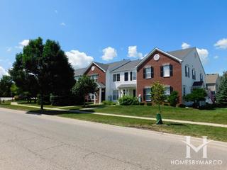 Natures Cove subdivision in Round Lake, IL