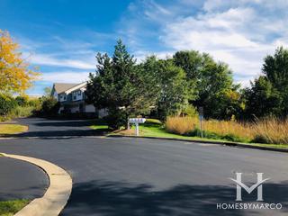 Willow Ponds subdivision in Lake Zurich, IL