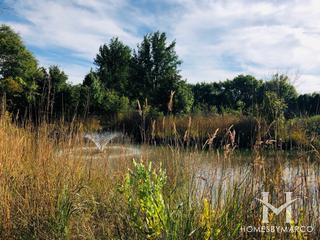 Willow Ponds subdivision in Lake Zurich, IL