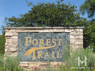 Forest Trail subdivision in Lindenhurst, IL