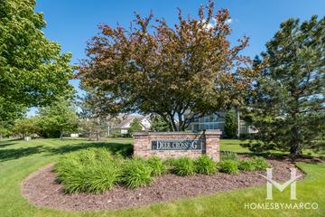 Deer Crossing