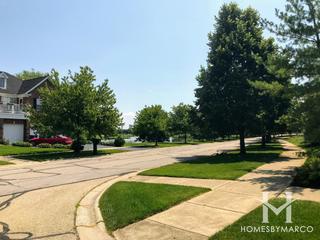 Century Farms subdivision in Naperville, IL