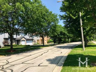 Century Farms subdivision in Naperville, IL