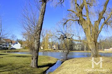Terre Fair subdivision in Libertyville, IL