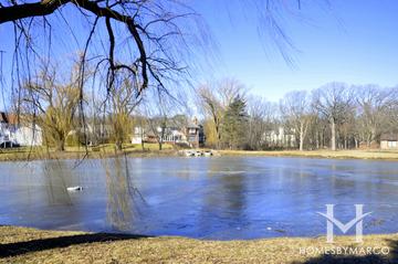 Terre Fair subdivision in Libertyville, IL