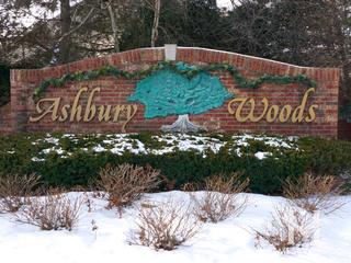 Ashbury Woods subdivision in Libertyville, IL