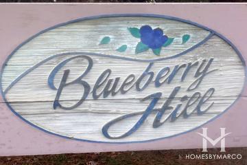 Blueberry Hill subdivision in Libertyville, IL
