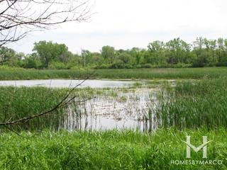 Canterbury subdivision in Libertyville, IL