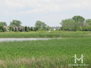 Canterbury subdivision in Libertyville, IL