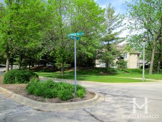 Carriage Hill subdivision in Libertyville, IL