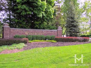 Wineberry subdivision in Libertyville, IL