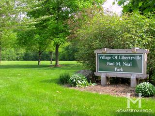 Wineberry subdivision in Libertyville, IL