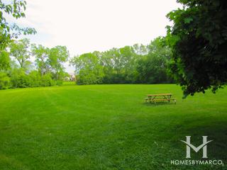 Wineberry subdivision in Libertyville, IL