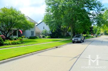 Interlaken Willows subdivision in Libertyville, IL