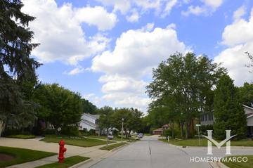 Red Top subdivision in Libertyville, IL