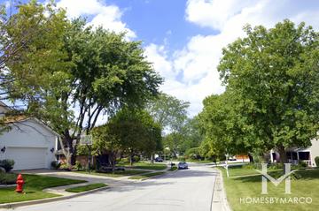 Red Top subdivision in Libertyville, IL