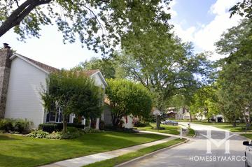 Red Top subdivision in Libertyville, IL