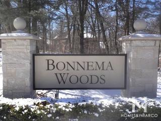 Photos of Bonnema Woods subdivision in Naperville, IL