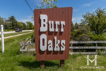 Photos of Burr Oaks subdivision in Naperville, IL