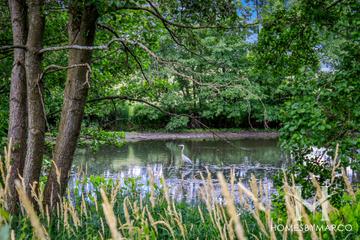 Brook Crossing subdivision in Naperville, IL