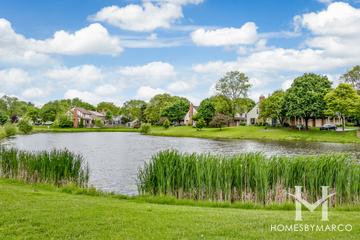 Brookdale subdivision in Naperville, IL