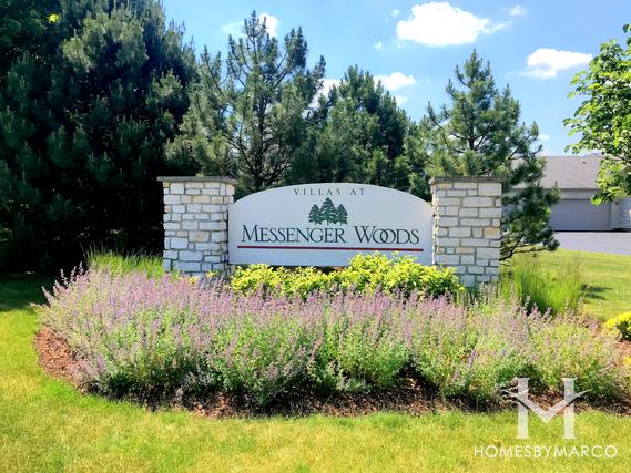 Messenger Woods subdivision in Homer Glen, IL