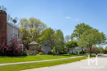 Campus Green subdivision in Naperville, IL