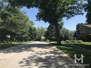 Campus Green subdivision in Naperville, IL