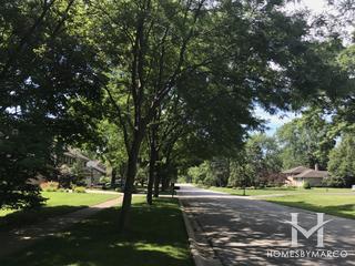 Campus Green subdivision in Naperville, IL