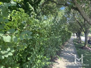 Cinnamon Creek subdivision in Naperville, IL