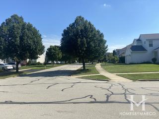 Cinnamon Creek subdivision in Naperville, IL