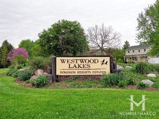 Country Lakes subdivision in Naperville, IL