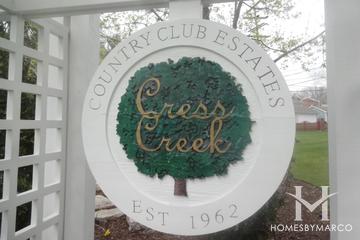 Cress Creek subdivision in Naperville, IL