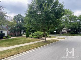 Cress Creek subdivision in Naperville, IL